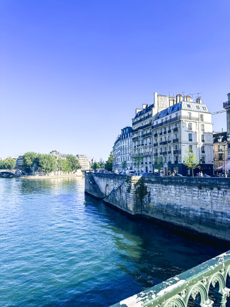 Île de la Cité from a bridge